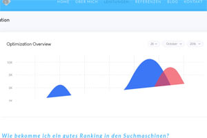 Website-Text zum Thema Suchmaschinenoptimierung (SEO) - Screenshot