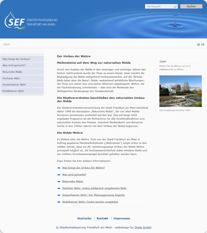 Beispiel-Screenshot zu Websitekonzept und -Text der SEF
